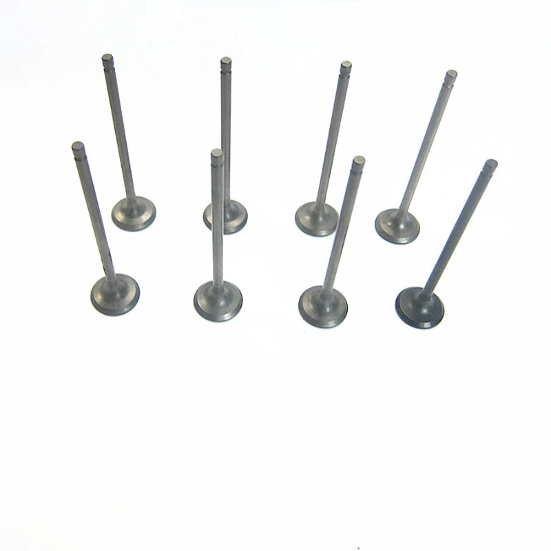 Car accessories engine cylinder exhaust valve HD00-12-121M1 for Haima 3 2007-2012 479Q