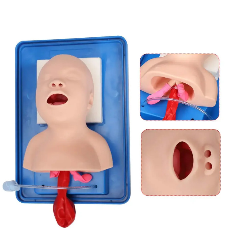 Newborn Tracheal Intubation Trainer Infant Airway Management Trainer Manikin Study Oral Intubation