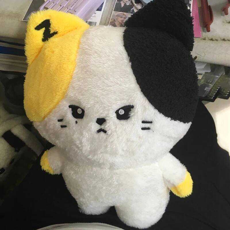 C 40Cm Zb1 Stuffed Toy Plush Zerobasehine Pendant Zhanghao Hain Jiwoong Ricky Gunwook Cotton Doll B