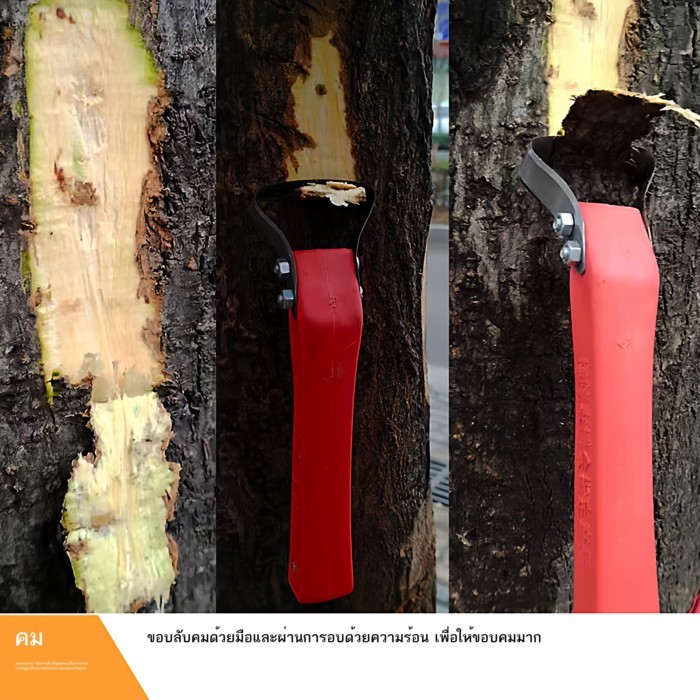 เครื่องขูดเปลือกอเนกประสงค์ รูปที่ 4