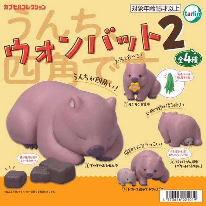 พร้อมส่ง Japan Tarlin Australian Animal Wombat No. 2 เครื่องประดับของเล่นแคปซูล