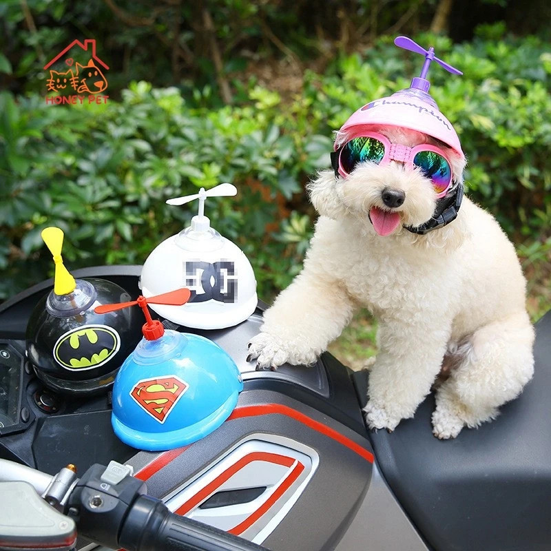Pet Biker Hat Helmet Hat Sunglasses Cat Helmet Dog Motorbike Cap Bamboo Dragonfly Quirky Sunglasses