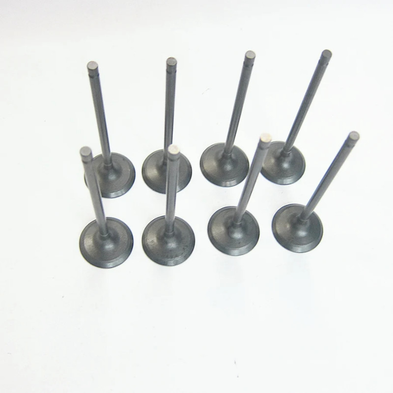 Car accessories engine cylinder inlet valve HD00-12-111M1 for Haima 3 2007-2012 479Q