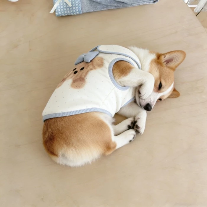 [คลังสินค้าพร้อม] หนังโบว์สามมิติหมีสุดน่ารัก-Fri thumbnail 3