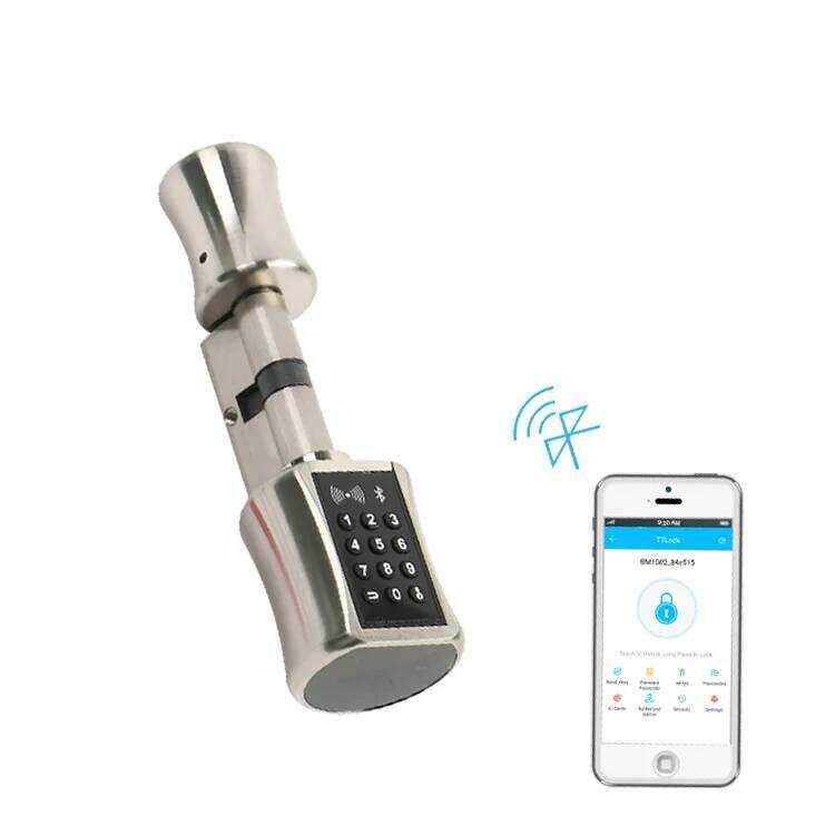 C Smart Lock DIY Keyless Double Replacement Cyder Lock TT Lock App Wifi Euro Cyder Smart Loc