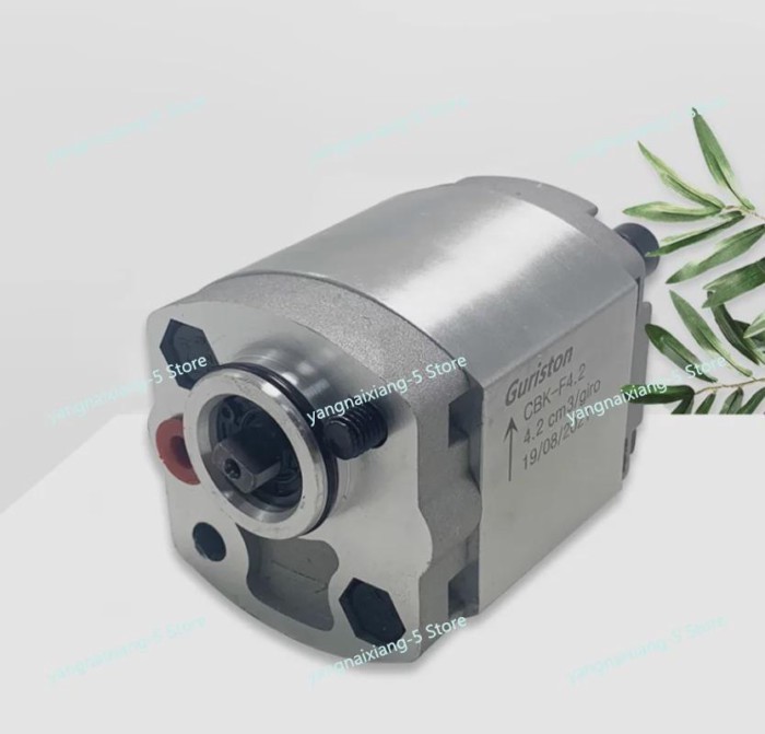 CBK Gear Pump CBK-F2.1/F1.6/F3.2/F4.8 Hydraulic Oil Pump Lifter Hydraulic Power Micro Gear Pump