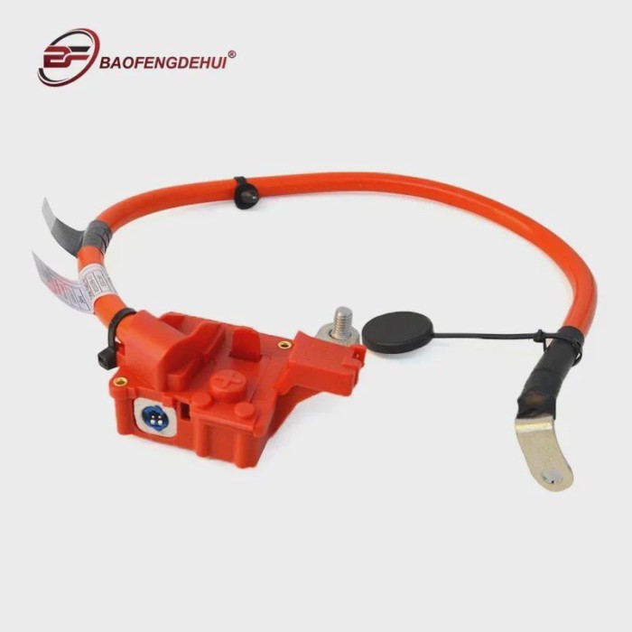 New 1x 61129225099 For BMW F25 X3 xDrive 28i 35i 2011 2012 2013 2014 Positive (+) Battery Fuse Cabl