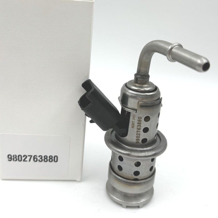 OE: 9802763880 J085B02460 Auto Fuel Injector Nozzle Valve For Citroen C3 C4 DS3 DS4 DS5 Berlingo/Pe