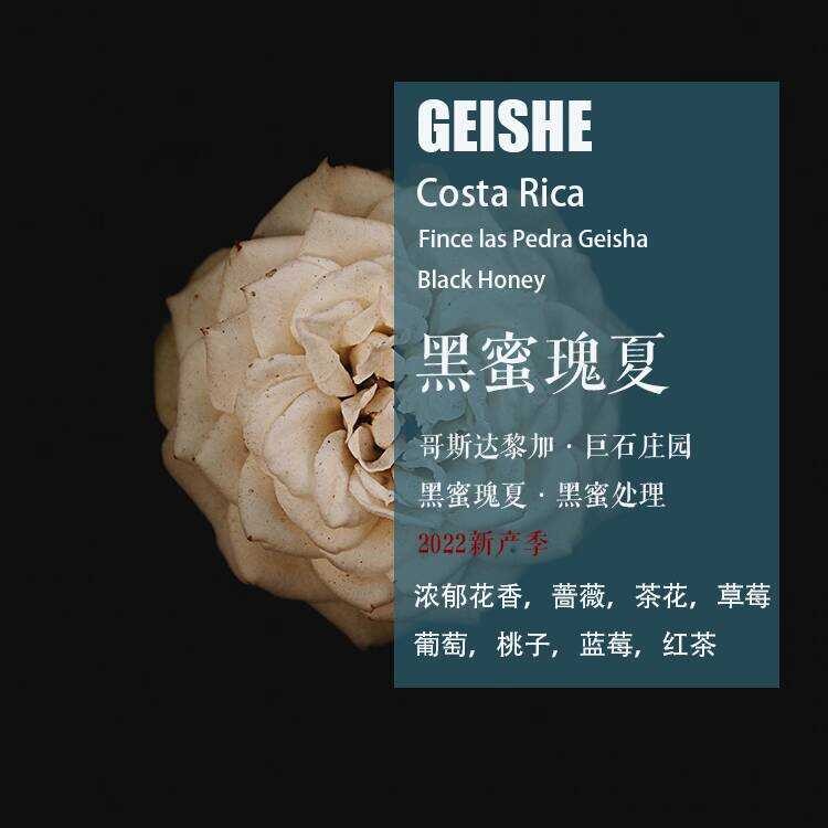 Costa Rica Boulder Manor Black Honey Geisha Geisha Black Honey Coffee Beans กาแฟต้นกําเนิดเดียวที่ไม