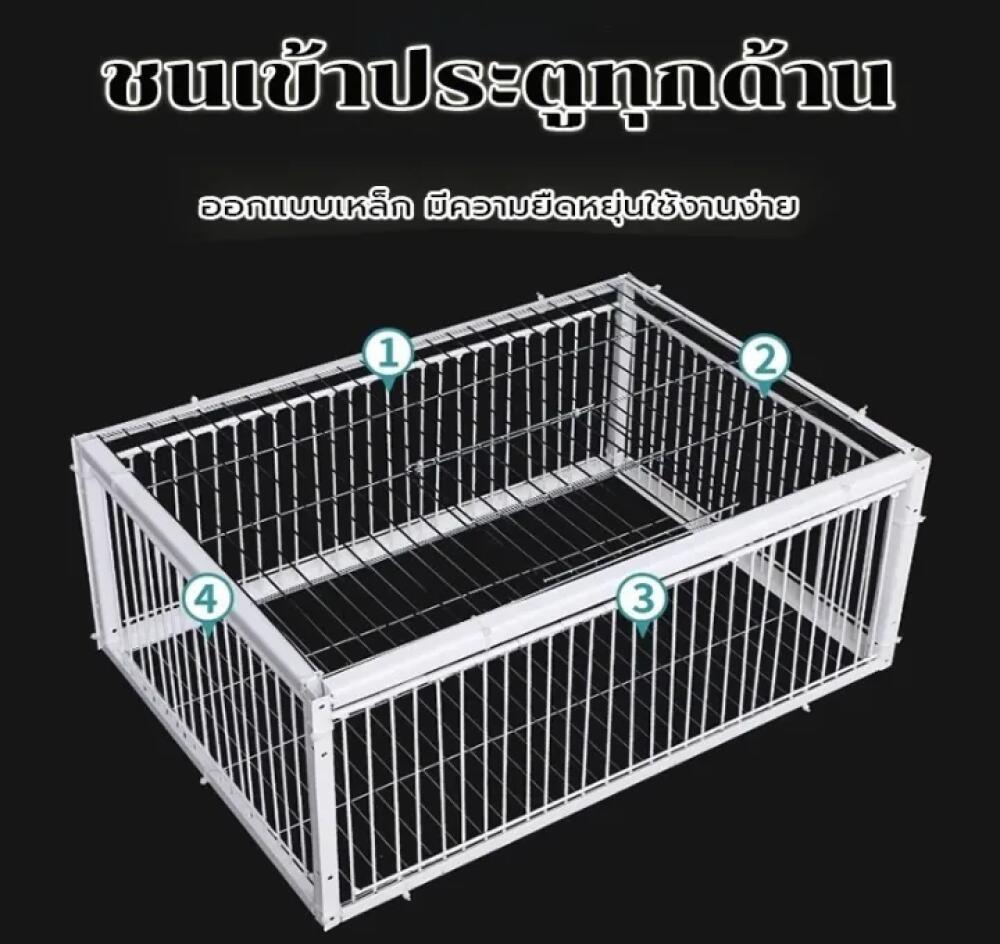 เพนียดดักนก กรงกับดักนกพิราบ กรกดักนกเขา กรงนกพิราบ รูปที่ 4