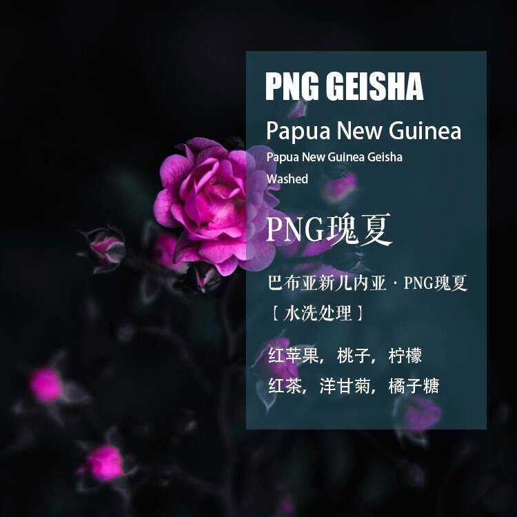 Papua New Guinea PNG Geisha Geisha Washed Coffee Beans ถั่วผลิตภัณฑ์เดียวคั่วสด