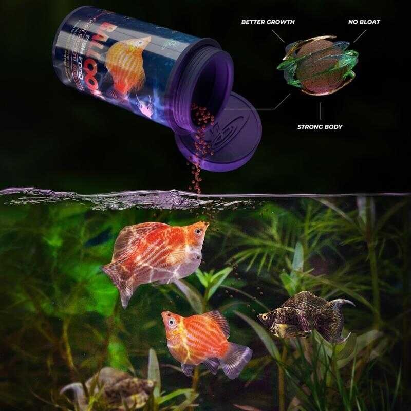 CZ Balloon Food อาหารปลาบอลลูนและปลาปากเล็กสูตรโปรตีนสูง 50 % สำหรับปลาบอลลูนและปลาปากเล็ก ปลาหางนกย