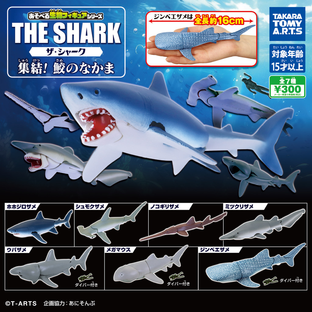 TOMY TOMY ของเล่นแคปซูล THE SHARK Movable SHARK 2 Assembly Chapter Whale SHARK Great White SHARK Ham