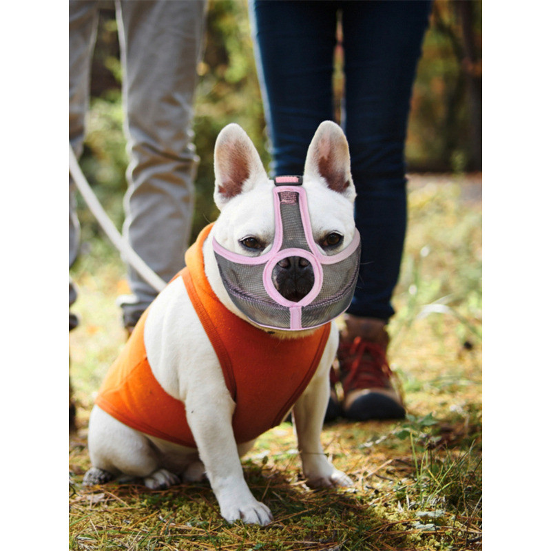 French Bulldog Special Bulldog Bulldog หน้ากากสุนัขบูลด็อกพิเศษ
