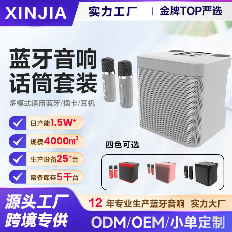 YS203KTV Family Set Speaker with Microphone All-in-One Machine KD203 Dual Microphone Bluetooth Sing 