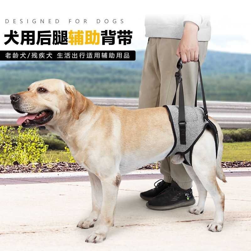 Pet Injured Dog Back Leg Assisted Strap Age Injured Dog Recovery Strap Auxiliary Traction