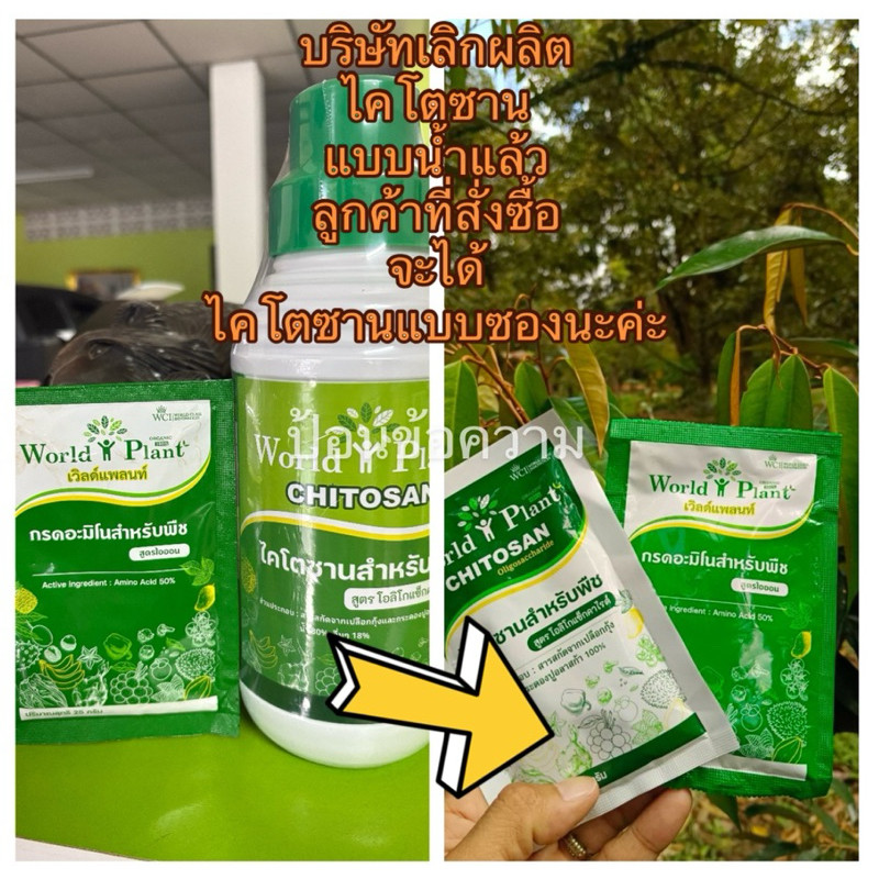 ♞world plant คู่หูมหัศจรรย์ (6ชุด) ชุดคู่หู รับประกันของแท้แน่นอน100% IKF