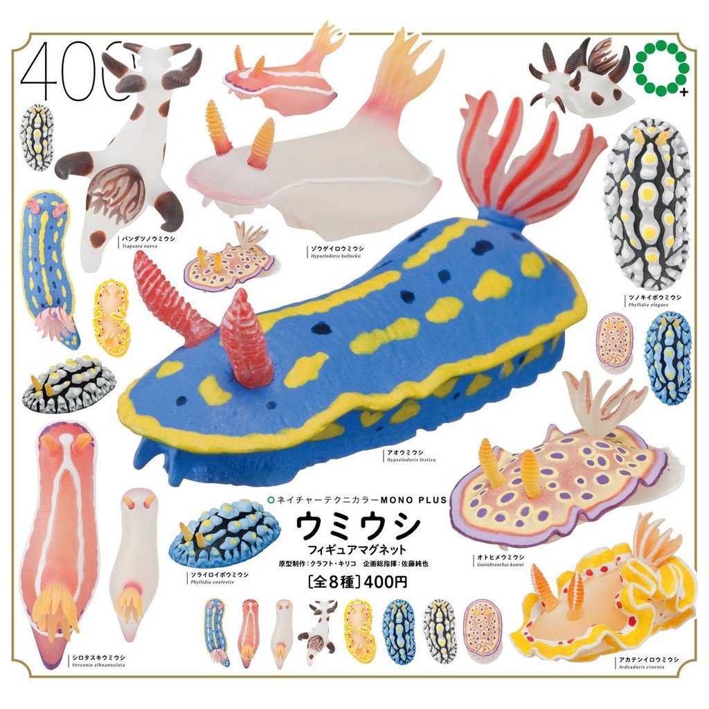 Qi Tan Gashapon NTC หนังสือภาพประกอบสีหลัก ซอฟต์แวร์ทางทะเล Creature Sea Slug สติกเกอร์ตู้เย็น Sea R