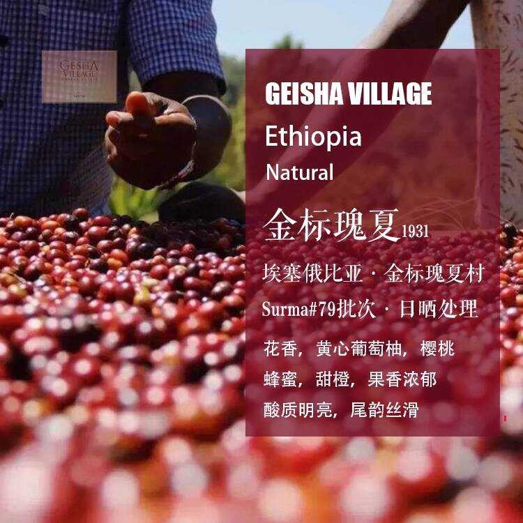 เอธิโอเปีย GEISHA VILLAGE Manor GEISHA VILLAGE Gold Label GEISHA 1931 เมล็ดกาแฟซันดราย