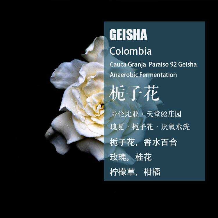 Colombia Paradise 92 Manor Geisha Geisha Anaerbic Washed Coffee Beans Hand Brewed Single Product