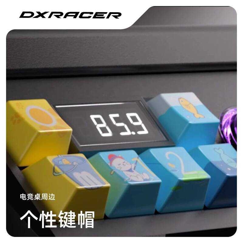 ปุ่มกด DXRacer chena สินค้าตาราง/ปุ่มกด DXRacer chena