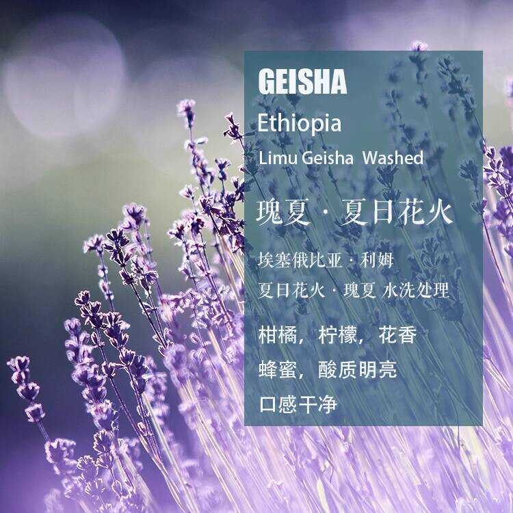 เอธิโอเปีย Limsha ดอกไม้ไฟ Geisha Geisha เมล็ดกาแฟล้างด้วยมือกาแฟต้นกําเนิดเดียว