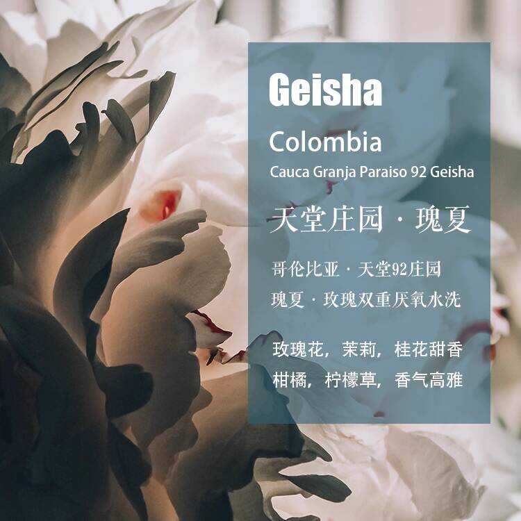 Colombia Paradise 92 Manor Geisha Geisha Rose Double Anaerbic Washed Coffee Beans Hand Brewed Single