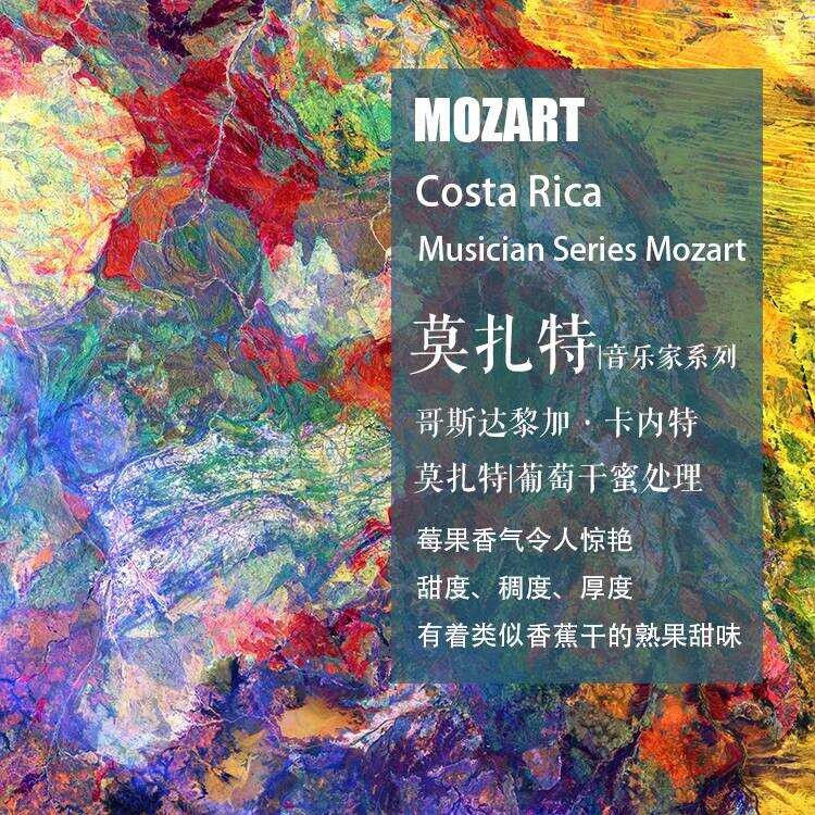 Costa Rica Musician Series Mozart Raisin Honey Hand-Brewed Single-Origin Coffee Beans Light Bag