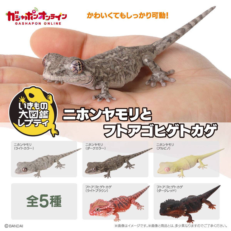 {ของเล่นสดใส} Bandai Gashapon Biological Illustrated Book Japan Gecko Beard Lizard Gecko 251012
