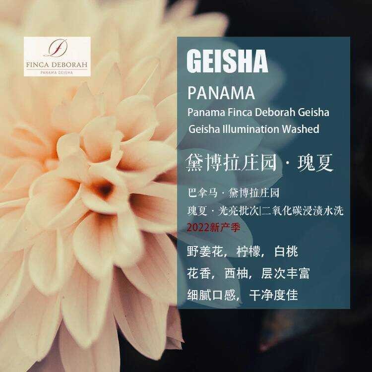 ปานามา Deborah Manor Geisha Geisha Geisha Bright Batch Washed Coffee Beans Hand Brewing ผลิตภัณฑ์เดี