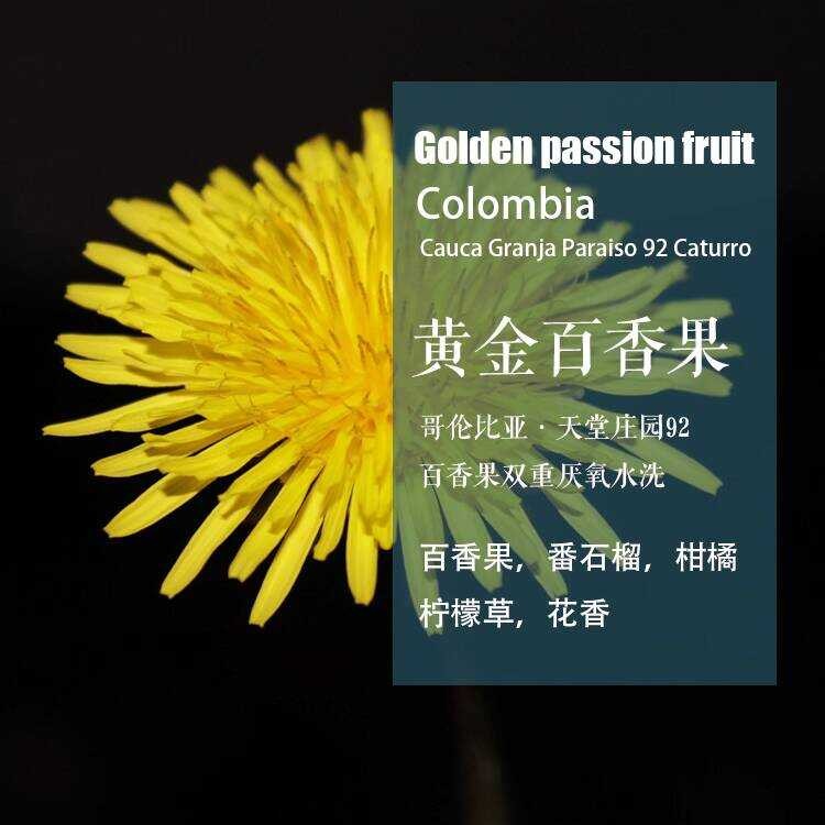 Colombia Paradise Manor 92 เมล็ดกาแฟเสาวรสเสาวรส Double Anaerbic Wash Hand Brew Coffee