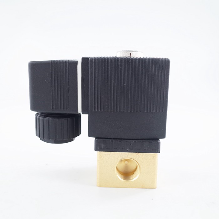 GOGOATC 0-16bar/25bar 2 Way Air Solenoid Valve 6013 1/8" 1/4" BSP 12V 24V DC Normal Close Brass Wat