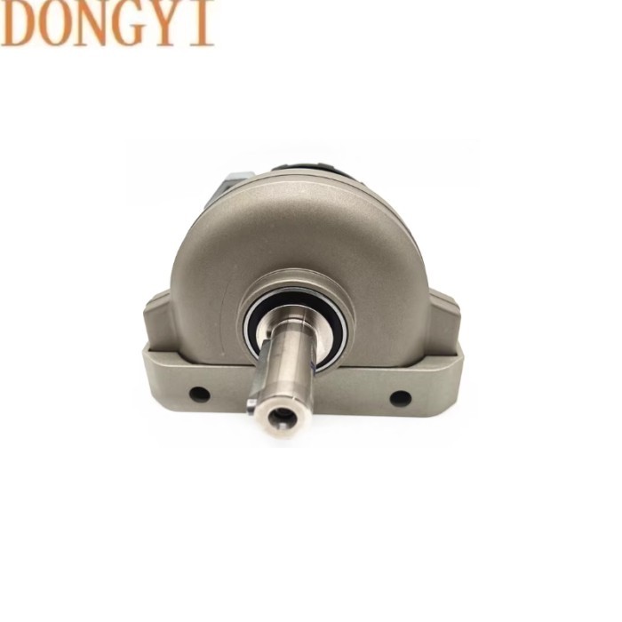 High quality Rotary cylinder DSR-10-180-P/33297 DSR-12-180-P/11909 DSR-16-180-P/11910 DSR-25-180-P/