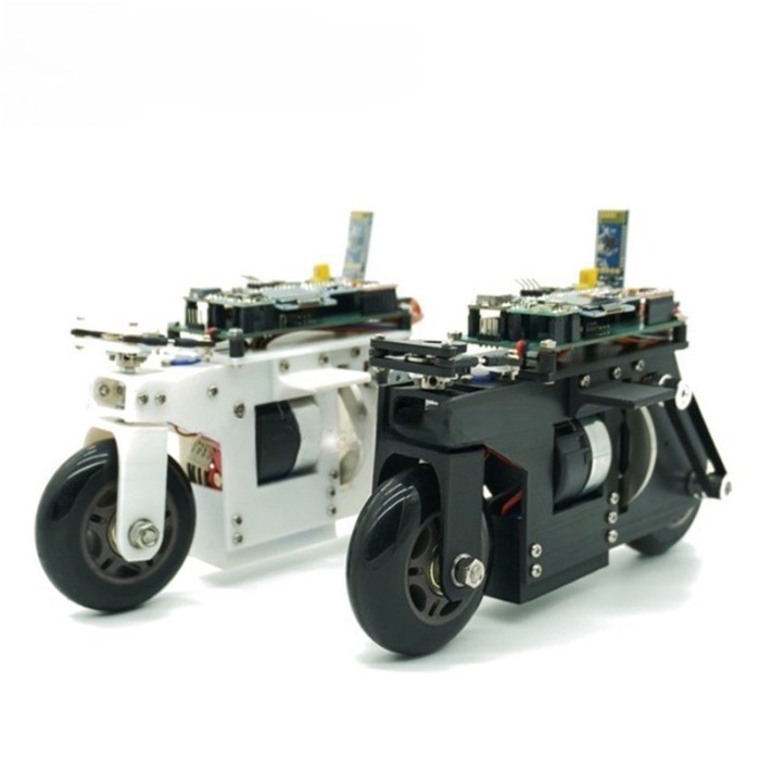 2WD RC Balance Bike Cubli Self-Balancing Flywheel 3D Printing APP Control DC Motor Motorcycle for S