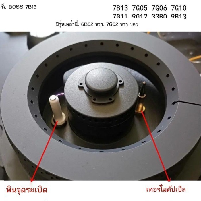 เหมาะสำหรับ BOSS 7B15/9T15/33B2/7G10/6B02 และเตาแก๊สอื่นๆจุดระเบิดเข็ม thermocouple induction เข็ม