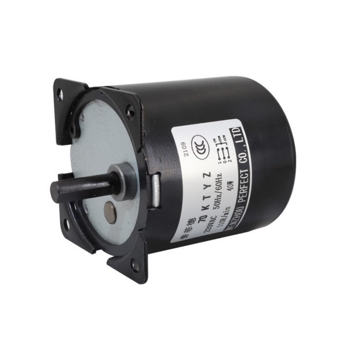 70ktyz/80ktyz AC 110V/220V Permanent Magnet Synchronous Motor Low Speed Forward and Reverse High To