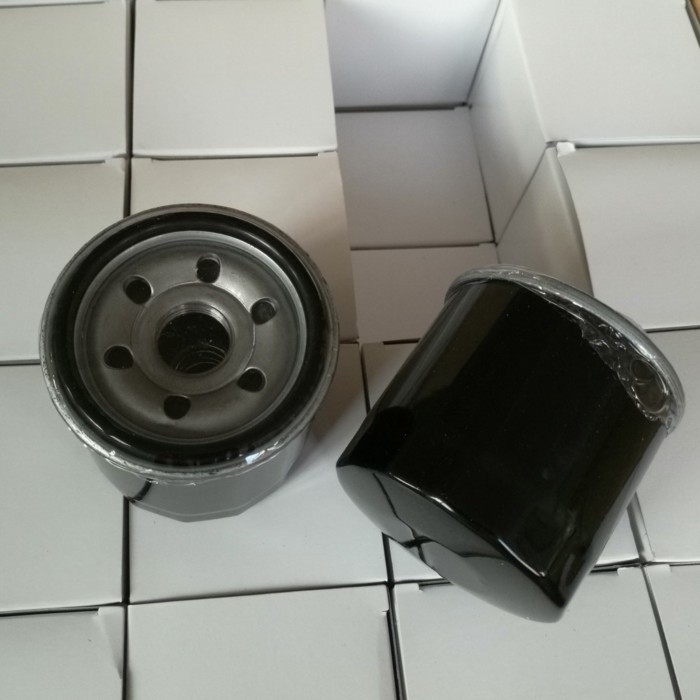 2 Pieces Oil Filter 15400-PLM-A02 GX610 GX620 GX630 GX670 GX690 Loncin 150350046-0002, LC1P92F LC1P