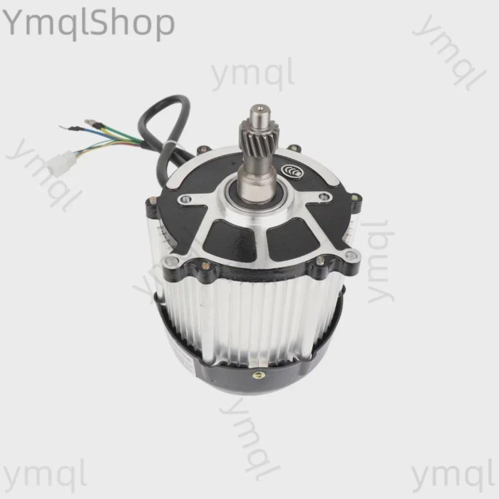 48V 60V 800W 1000W 1200W , DC motor for electric vehicle