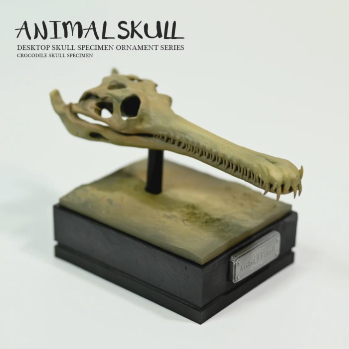 55MM Home decoration Art resin Creative Home Furnishings Tabletop Ornaments Dinosaur Bone Model -Cr