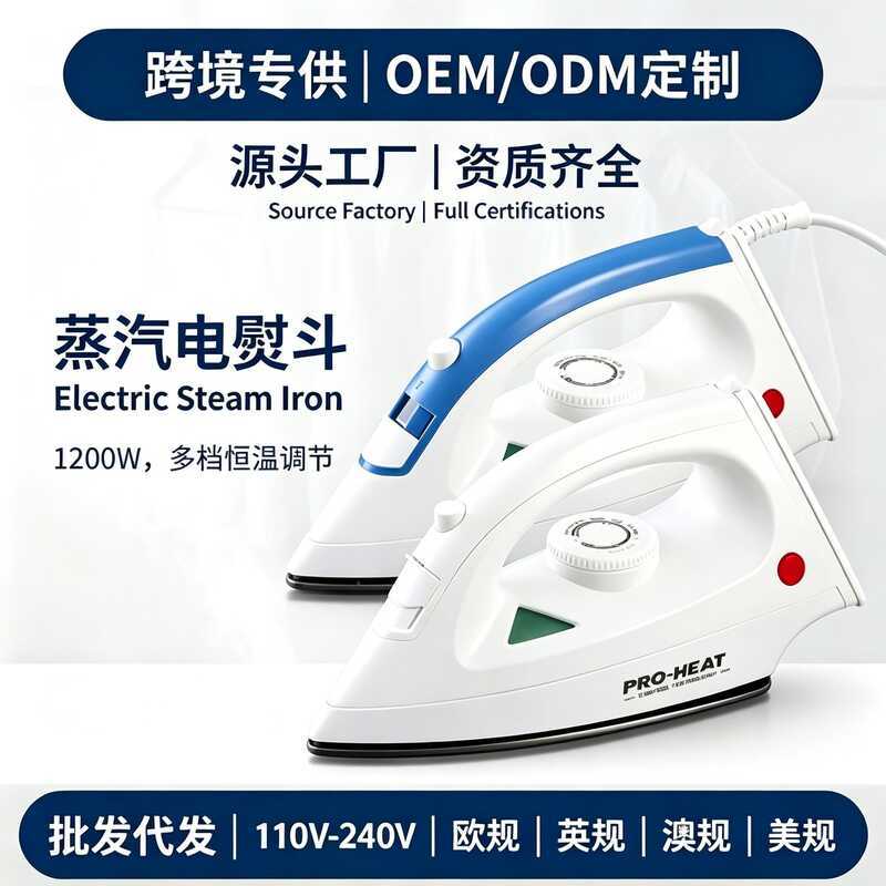 American Standard 110V European Standard เตารีดไอน้ํามือถือในครัวเรือน เตารีดพกพาขนาดเล็ก 12W