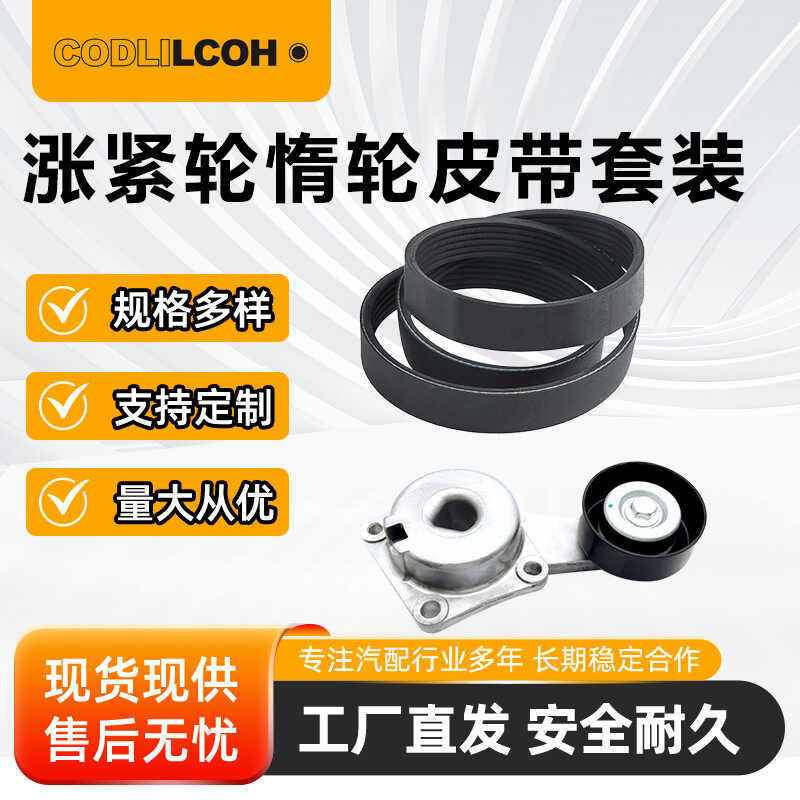 1C2Z8620FA, 2C2Z8620JA กระชับ Idler เข็มขัดงูชุดเข็มขัดเหมาะสําหรับ Ford