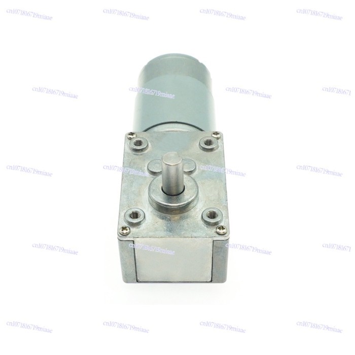 5840-555 Micro DC Motor High Torque DC Gear Motor Turbo Worm Gear Motor Manufacturer