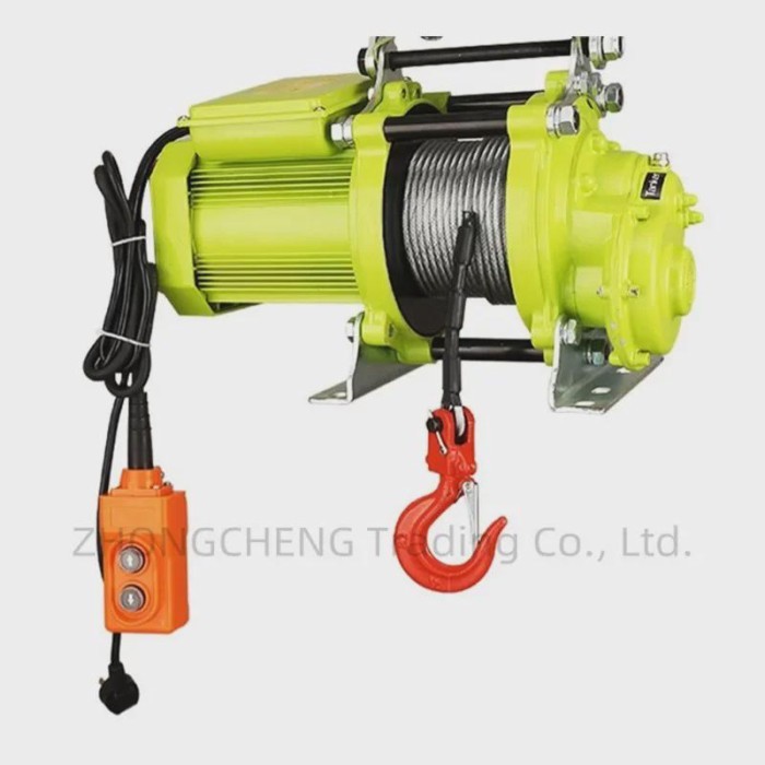 Lifting Crane Small Electric Hoist 220V Small Crane Brushless Super Fast Lifting Hoist Hoist Home P
