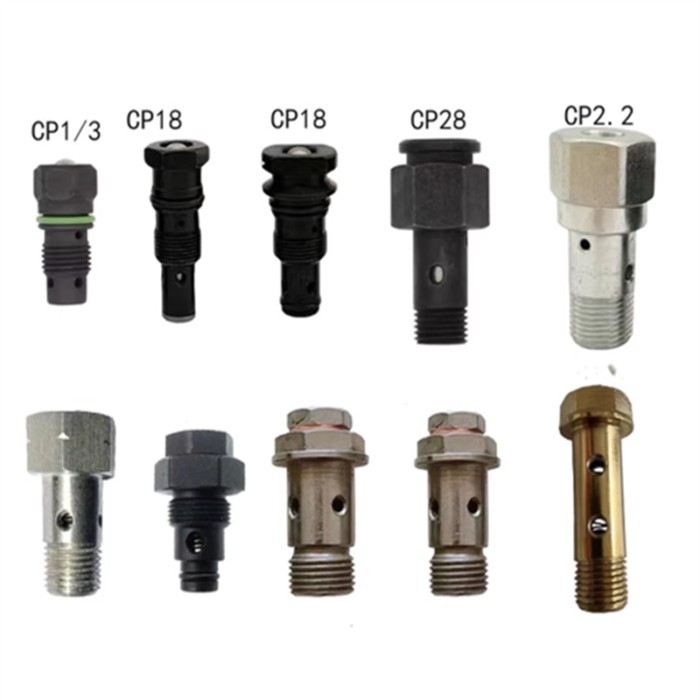 For CP1 CP3 CP2.2 CP18 CP2.2 Unit Pump Electronic Fuel Pump Fuel Return Valve Relief Valve Safety V