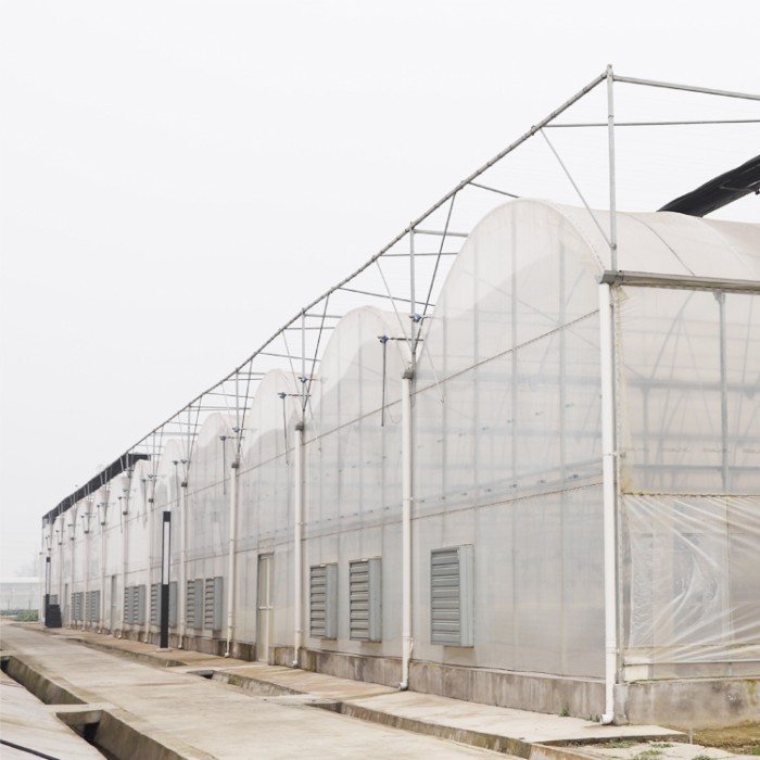 GT Tomato Commercial Greenhouse Agricultural Kit Frame Plastic Film Multi-span Greenhouse for Sale