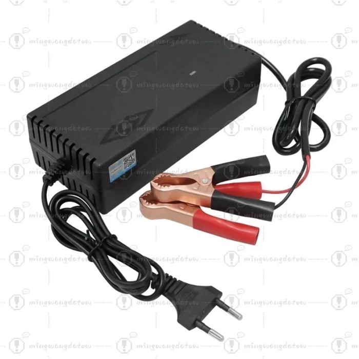29.2V 5A LiFePO4 Battery Charger Alligator Clip / DC5.5*2.1MM