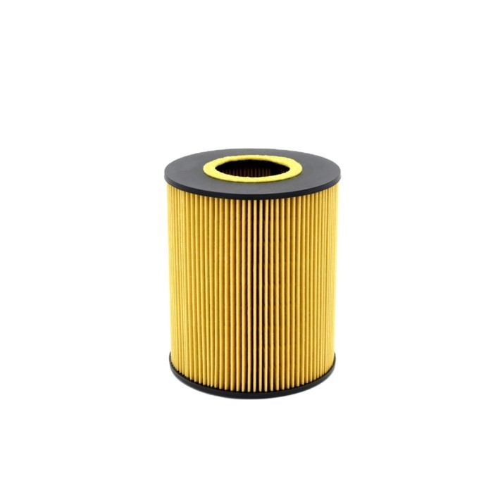 For Man Truck Bus HU1381X OE646/1 Engine Oil Filter LF3867 E13HD47 OX146D 51055040098