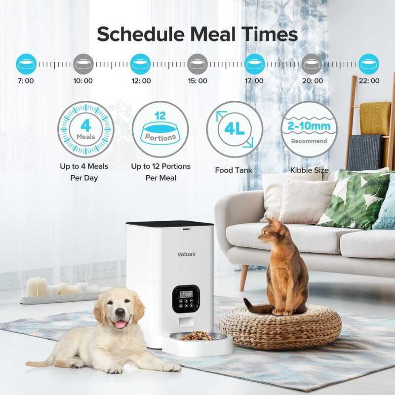Feeder Double Meal Pet Smart Feeder Square Feeder