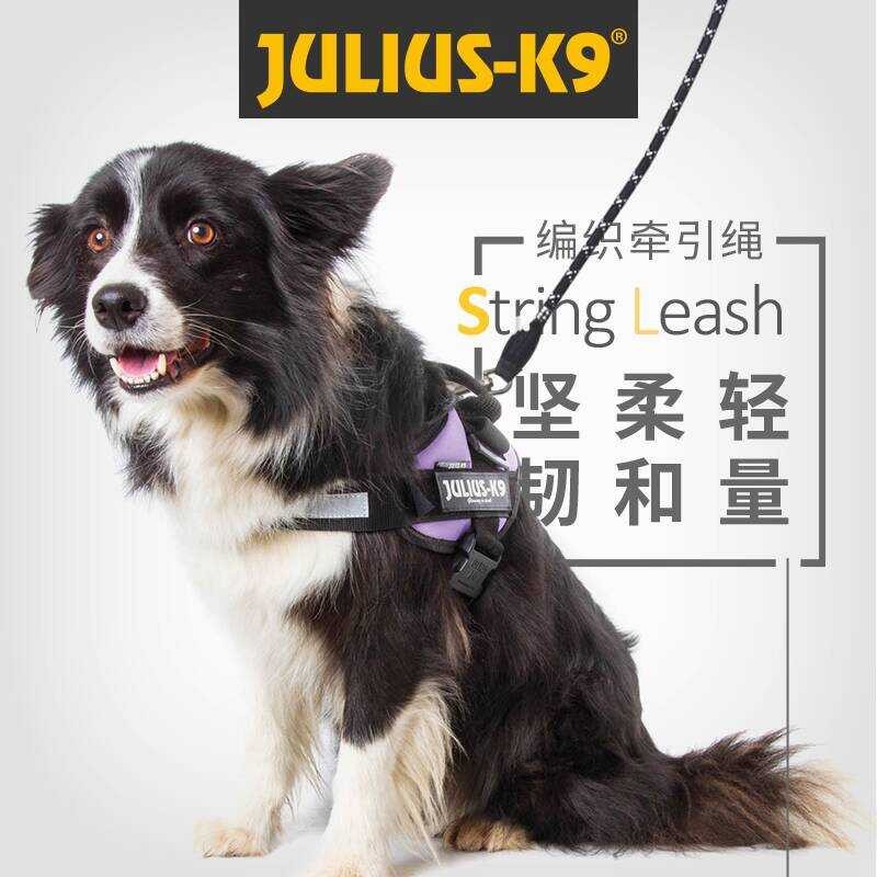 สุนัขเดินสายจูงสุนัข P สายจูงสุนัขการฝึกอบรม P Chain P Leash Multifunctional สายจูงสุนัข Teddy Shiba