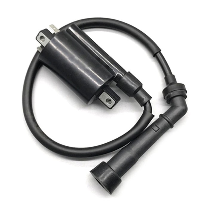 Motorcycle Parts For Wangjiang Suzuki GN250 GN 250 WJ250 250 300 250CC gn250 Ignition Coil With Wir